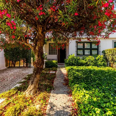 Casa Da Laurentina - Charm & Garden Holiday home *
