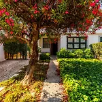 Casa Da Laurentina - Charm With Pool & Garden 別荘 *